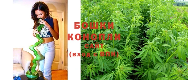 PSILOCYBIN Кукмор