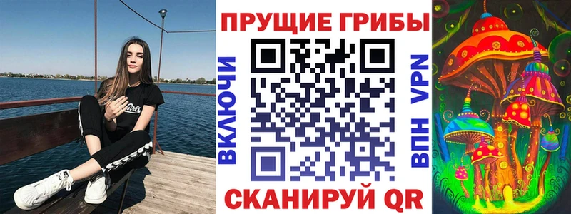 продажа наркотиков Вышний Волочёк Псилоцибиновые грибы Cubensis